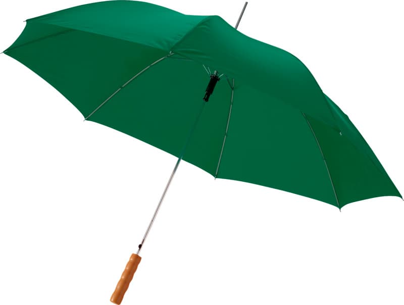 Lisa 23" auto open umbrella with wooden handle 8