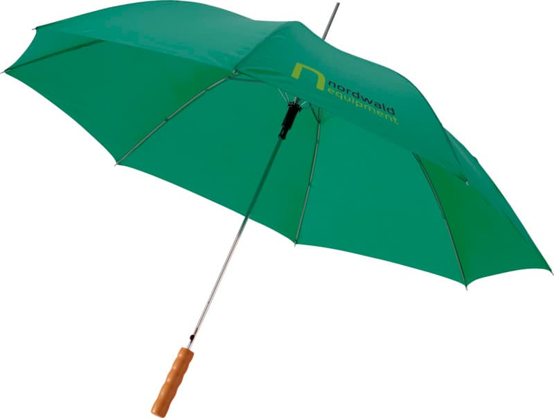 Lisa 23" auto open umbrella with wooden handle 10