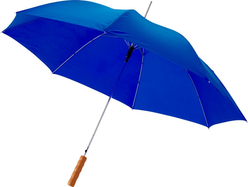 Lisa 23" auto open umbrella with wooden handle 14