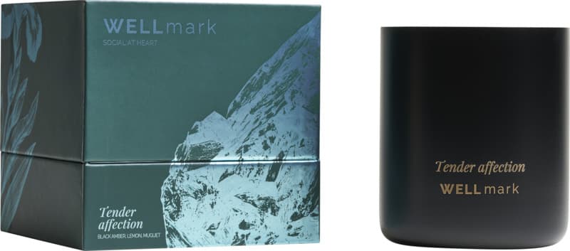 Wellmark scented candle 23