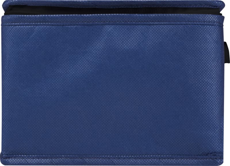 Spectrum 6-can recycled non-woven cooler bag 4L 12