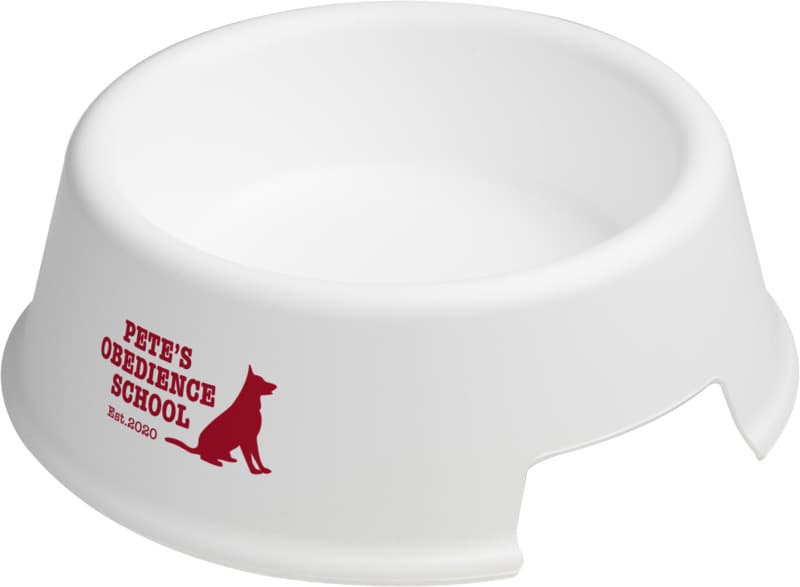 Koda dog bowl 4