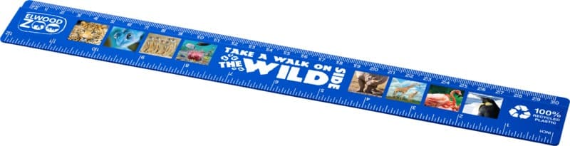 Refari 30 cm recycled plastic ruler 16