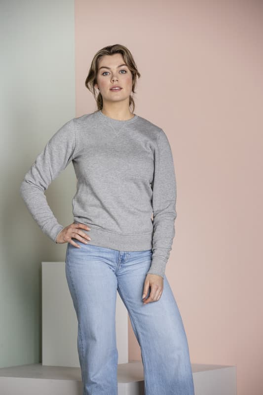 Surrey unisex crewneck sweater 14