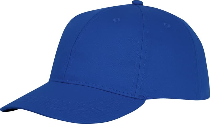Ares 6 panel cap 10