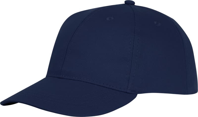 Ares 6 panel cap 15