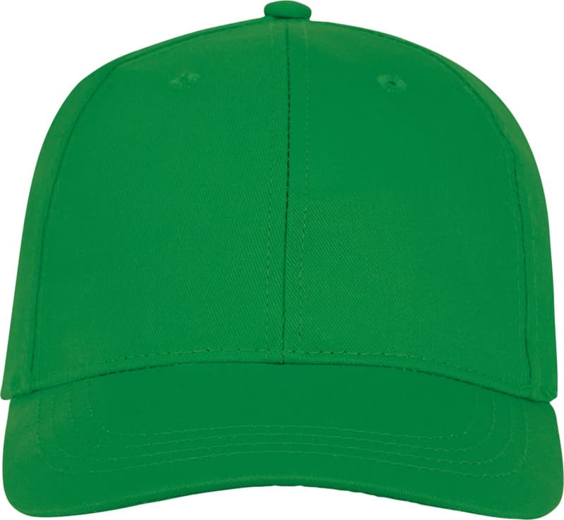 Ares 6 panel cap 21