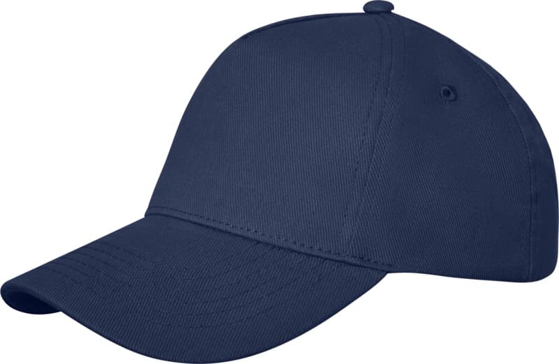 Doyle 5 panel cap 29