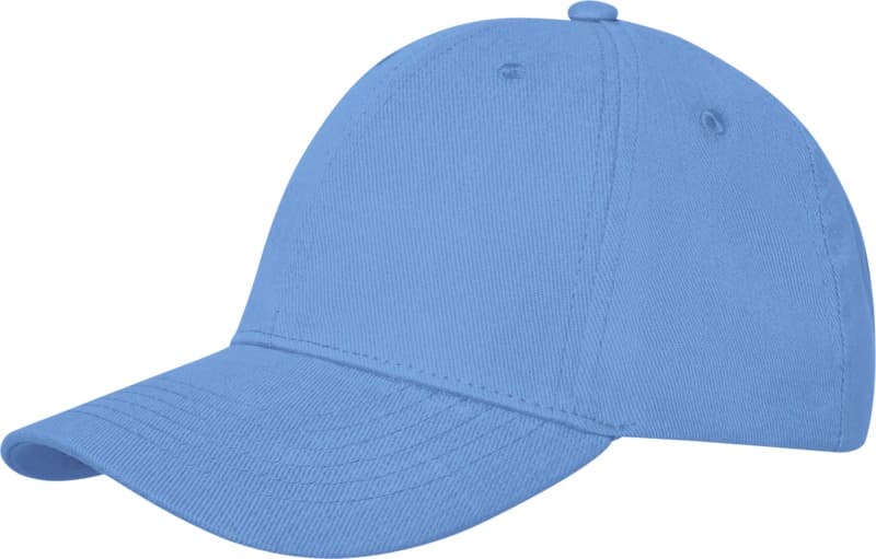 Davis 6 panel cap 30
