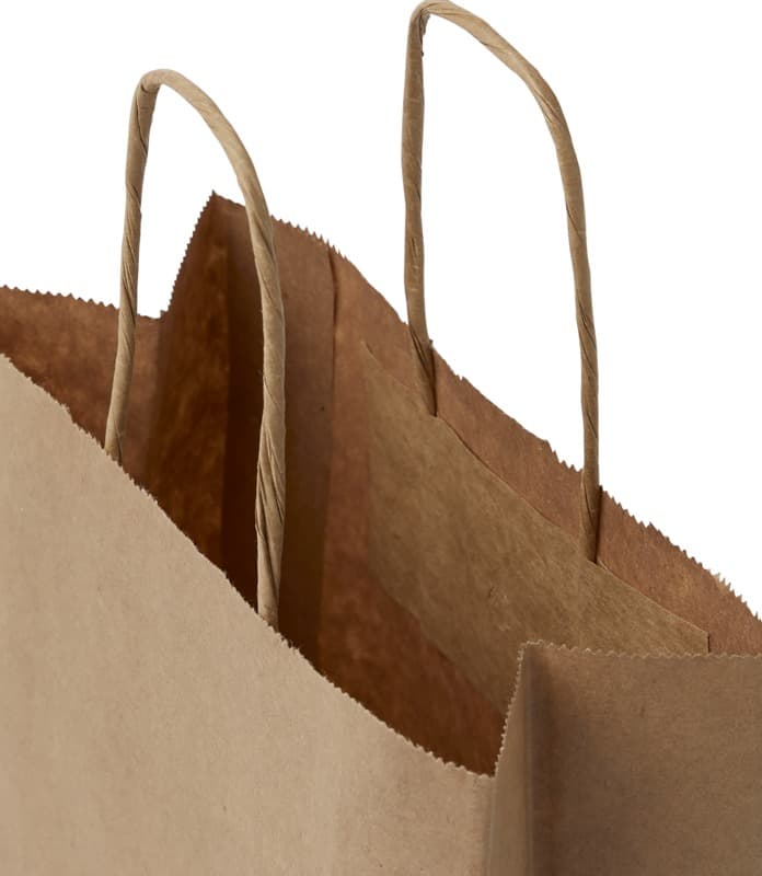Kraft 80 g/m2 paper bag with twisted handles - 18 x 8 x 21 cm 10