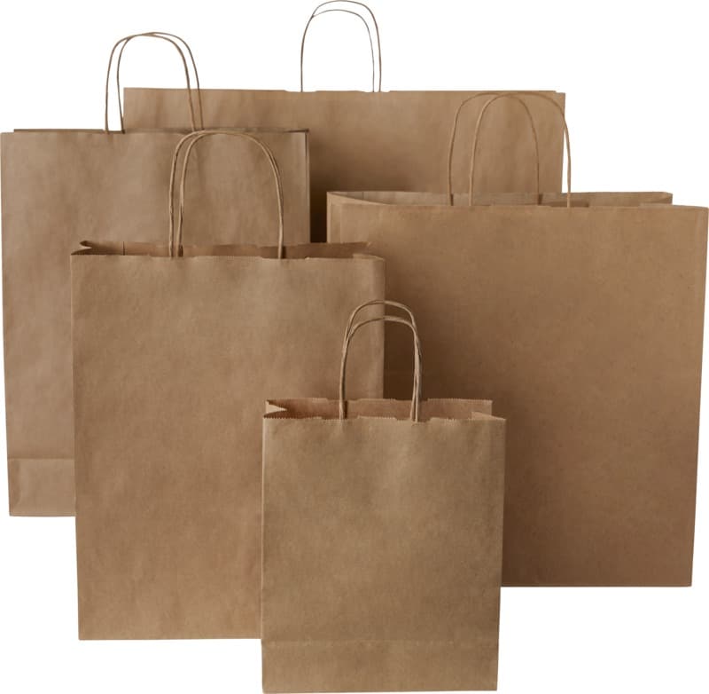Kraft 80 g/m2 paper bag with twisted handles - 18 x 8 x 21 cm 12