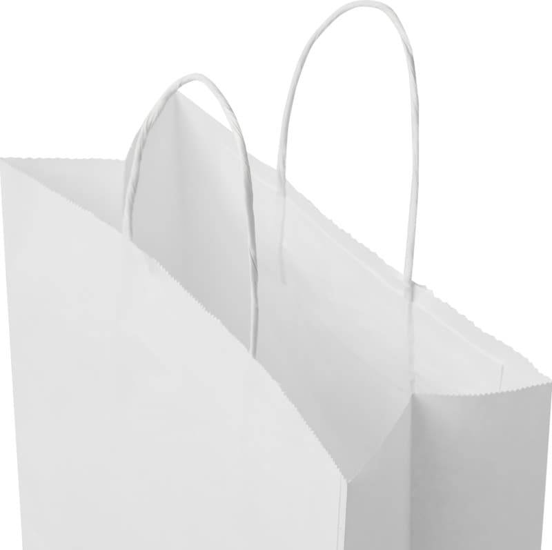 Kraft 80 g/m2 paper bag with twisted handles - 25 x 11 x 32 cm 4