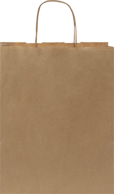 Kraft 80 g/m2 paper bag with twisted handles - 25 x 11 x 32 cm 9