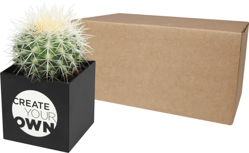 Hey Pots aluminium planted pot - cactus 6