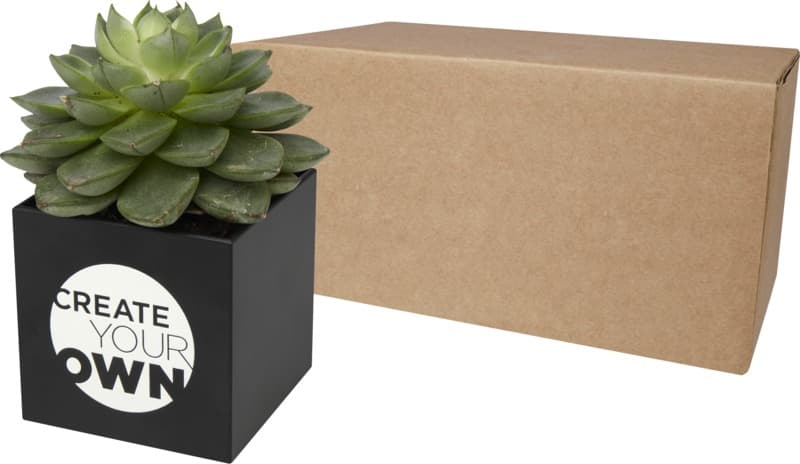 Hey Pots aluminium planted pot - succulent 6