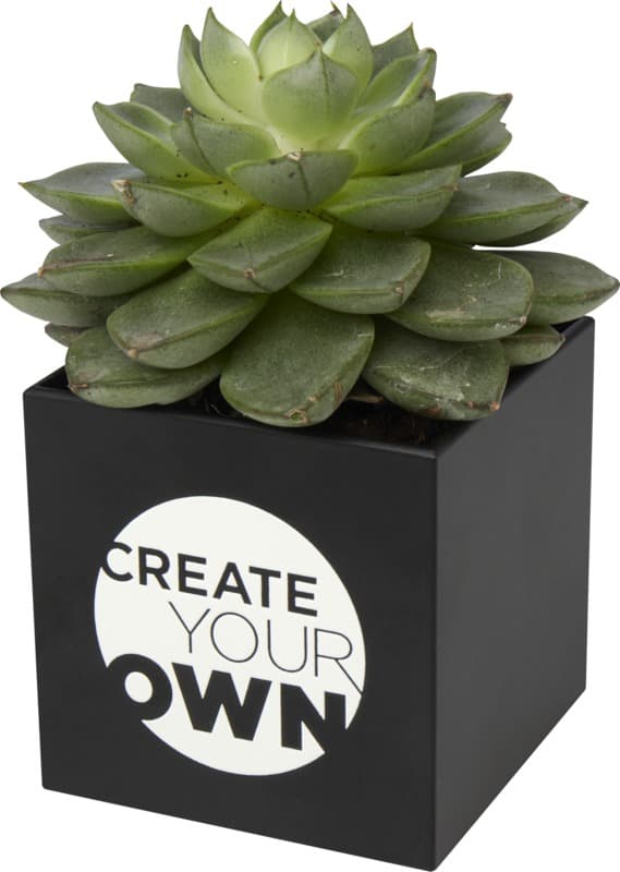 Hey Pots aluminium planted pot - succulent 9