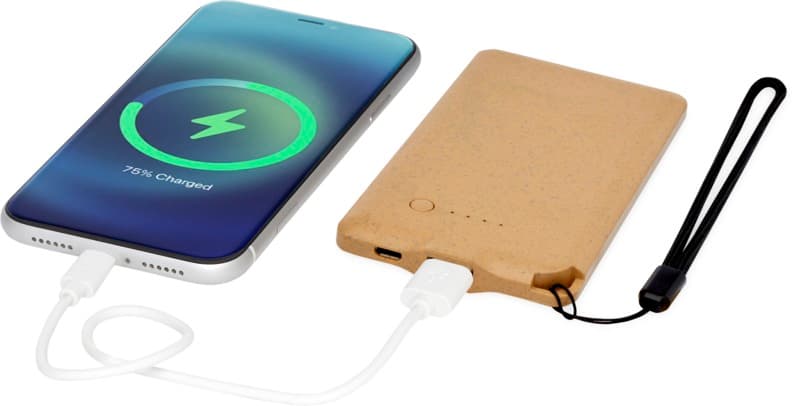 Eco 4000 mAh power bank 6