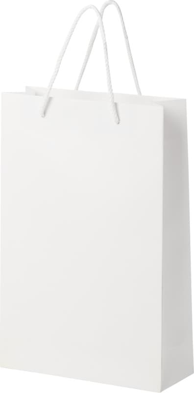 Handmade 170 g/m2 integra paper bag with plastic cord handles - 24 x 9 x 36 cm 4
