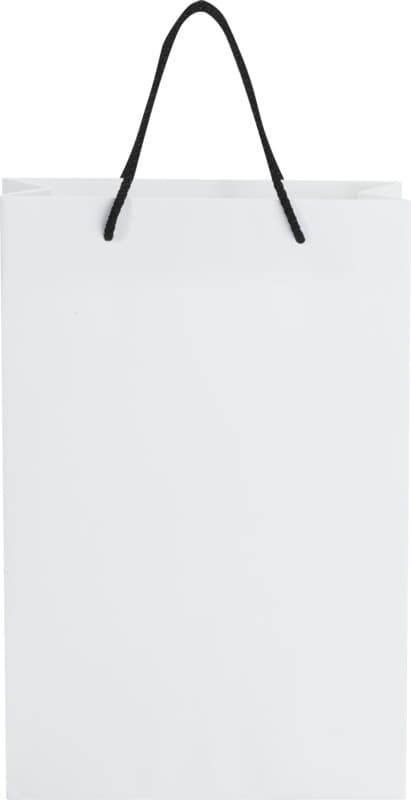 Handmade 170 g/m2 integra paper bag with plastic cord handles - 24 x 9 x 36 cm 11