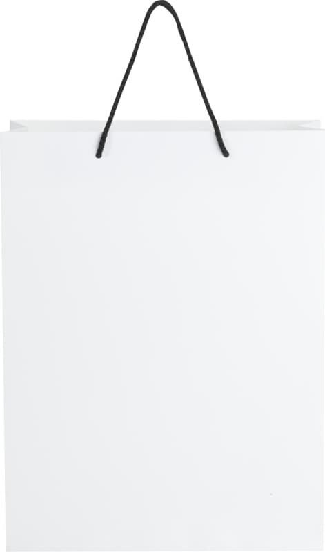 Handmade 170 g/m2 integra paper bag with plastic cord handles - 31 x 12 x 41 cm 11