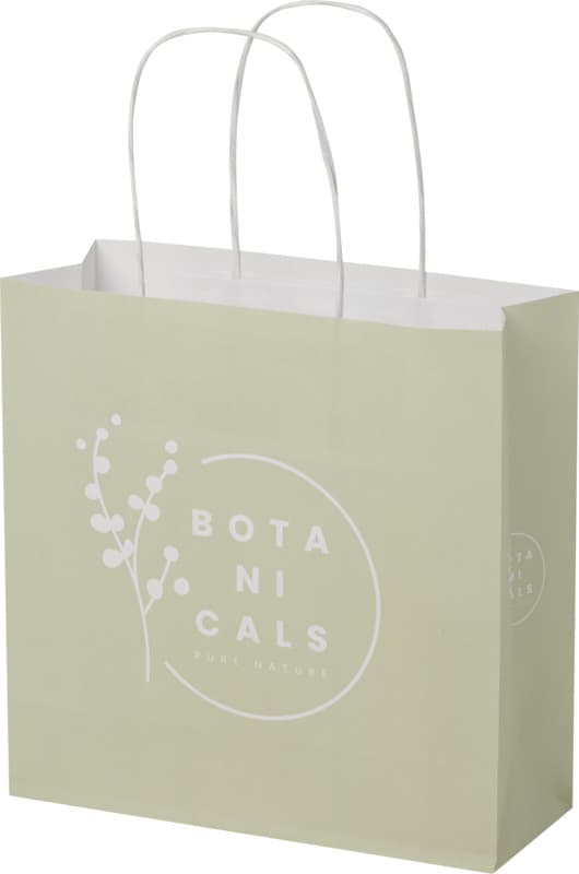 Kraft 120 g/m2 paper bag with twisted handles - 24 x 9 x 24 cm 1