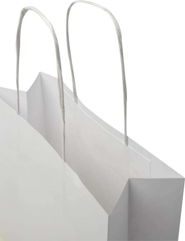 Kraft 120 g/m2 paper bag with twisted handles - 24 x 9 x 24 cm 6