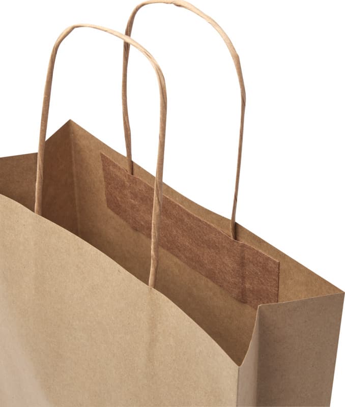 Kraft 120 g/m2 paper bag with twisted handles - 24 x 9 x 32 cm 14