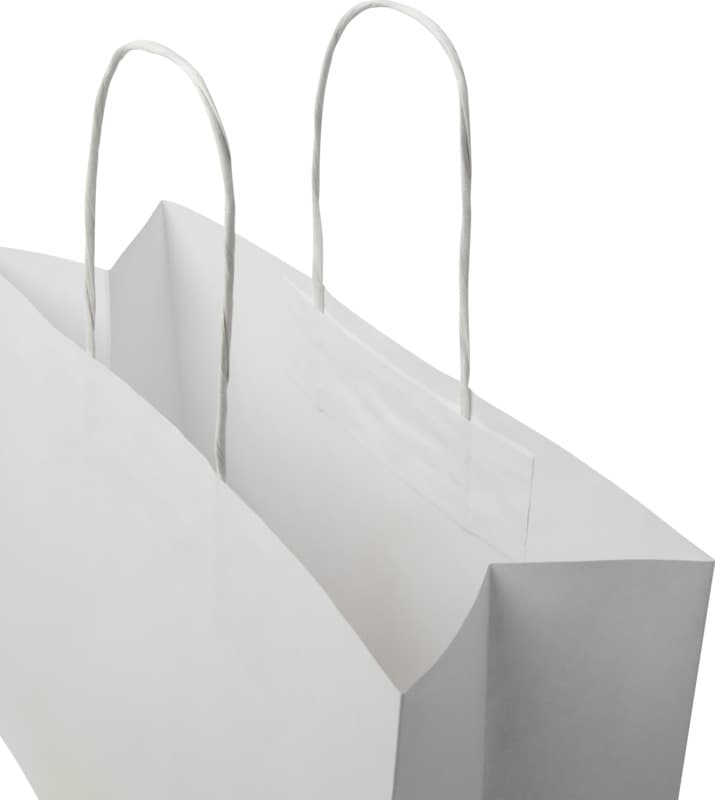 Kraft 120 g/m2 paper bag with twisted handles - 31 x 12 x 25 cm 6