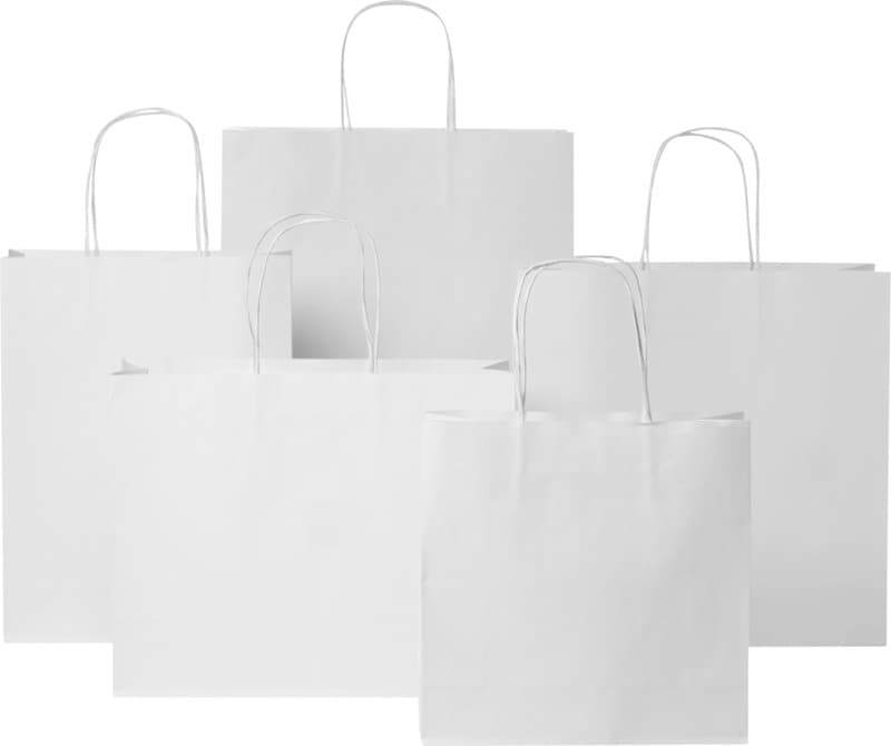 Kraft 120 g/m2 paper bag with twisted handles - 31 x 12 x 25 cm 8