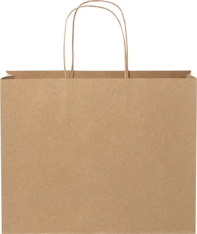 Kraft 120 g/m2 paper bag with twisted handles - 31 x 12 x 25 cm 11