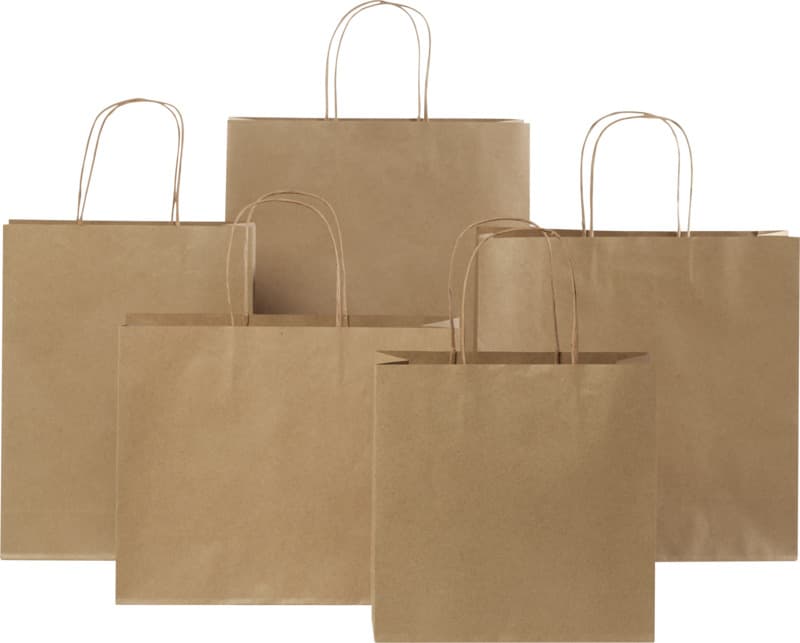 Kraft 120 g/m2 paper bag with twisted handles - 31 x 12 x 25 cm 16
