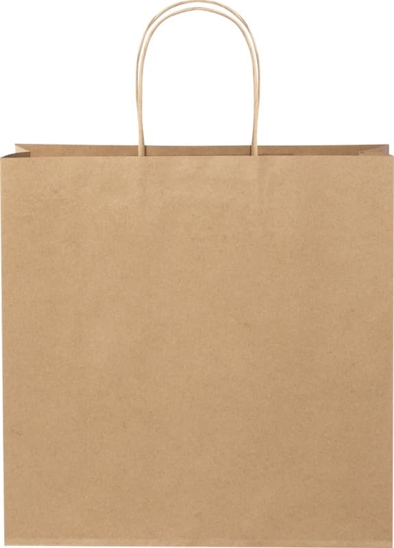 Kraft 120 g/m2 paper bag with twisted handles - 31 x 12 x 31 cm 11