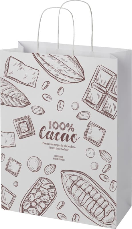 Kraft 120 g/m2 paper bag with twisted handles - 31 x 12 x 41 cm 1