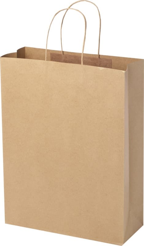 Kraft 120 g/m2 paper bag with twisted handles - 31 x 12 x 41 cm 12