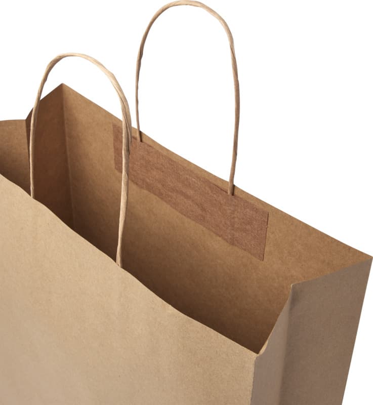 Kraft 120 g/m2 paper bag with twisted handles - 31 x 12 x 41 cm 14