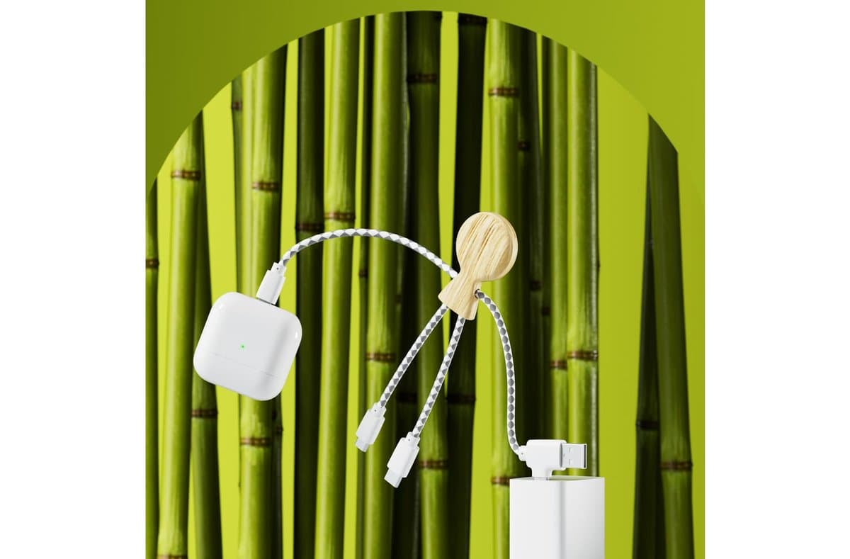 Xoopar Mr. Bio Bamboo Charging Cable 5