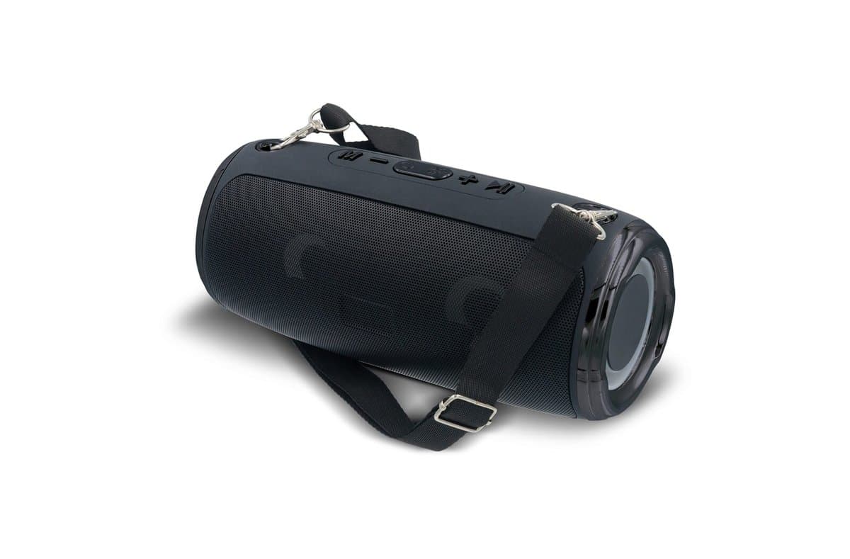 Large speaker with shoulder strap 20W 4
