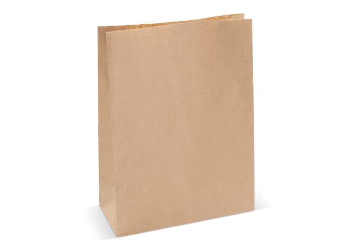 Paper bag 70g/m² 29x22x9cm 2