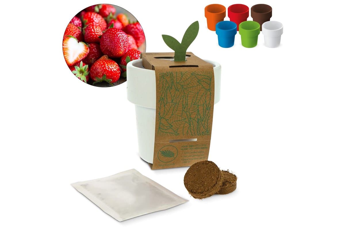 Hot-but-cool cup with strawberry seeds 1