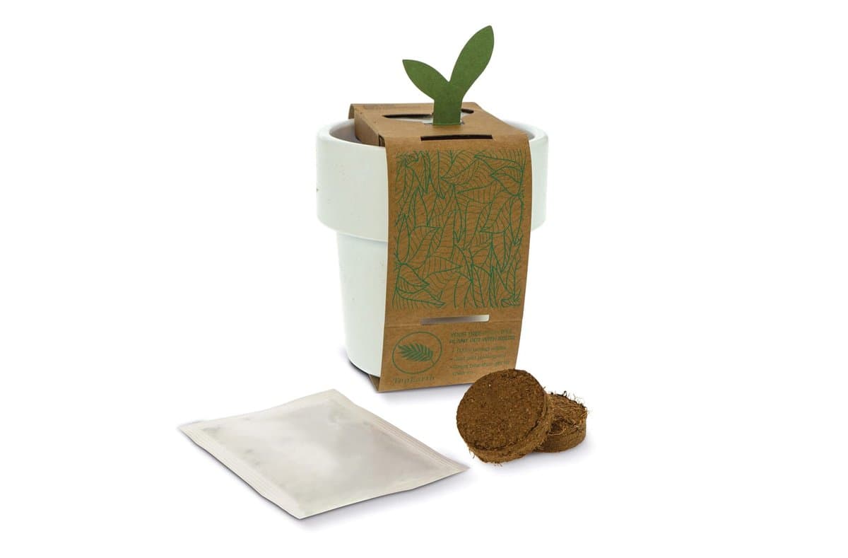 Hot-but-cool cup with strawberry seeds 4