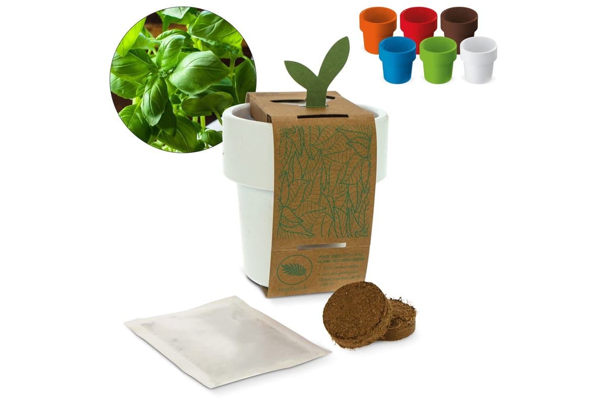 Hot-but-cool cup with Basil seeds 1