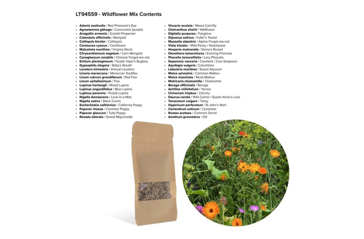 Seed bags wild flowers 4 gram 4