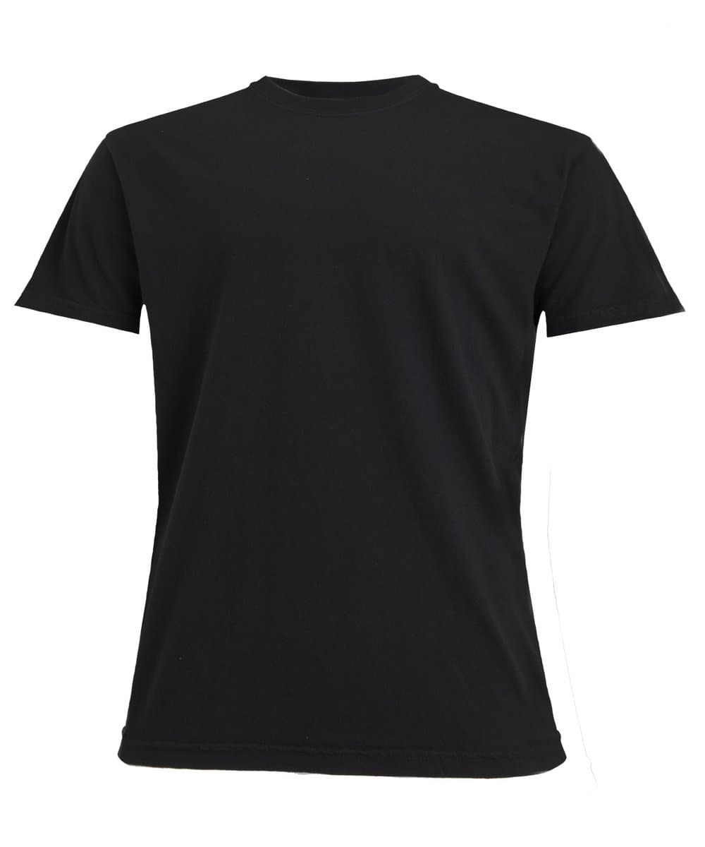 Heavyweight adult t-shirt 4