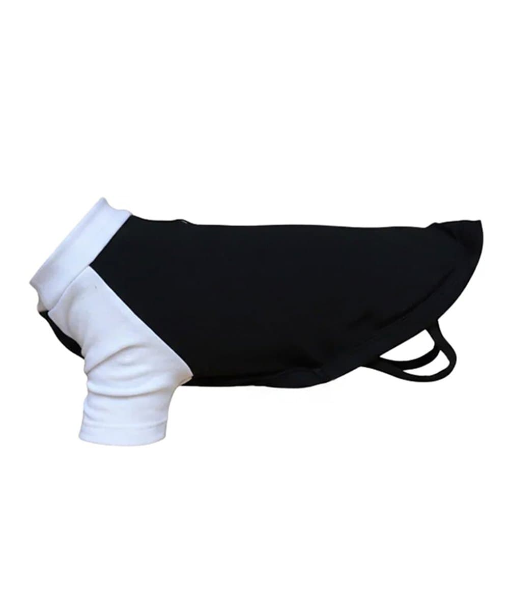Dog’s raglan t-shirt 2