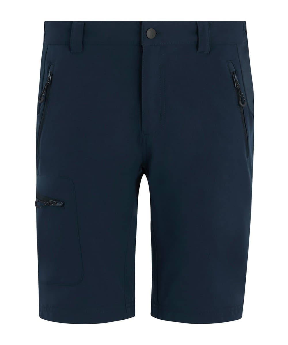 Prolite stretch shorts 3