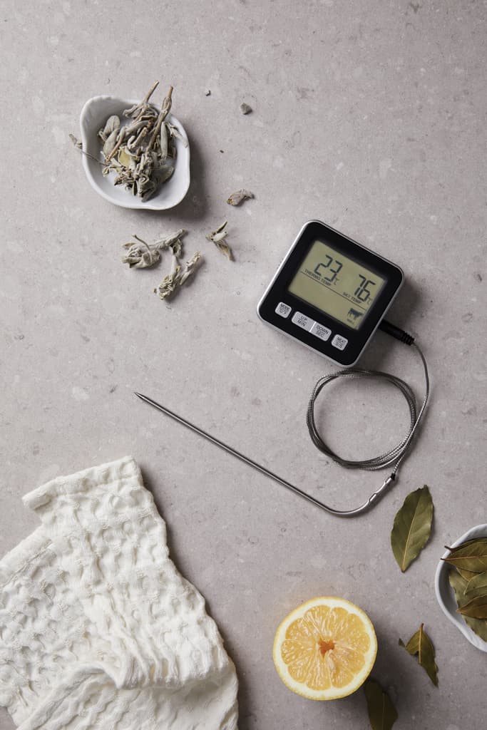 VINGA Hays thermometer 4