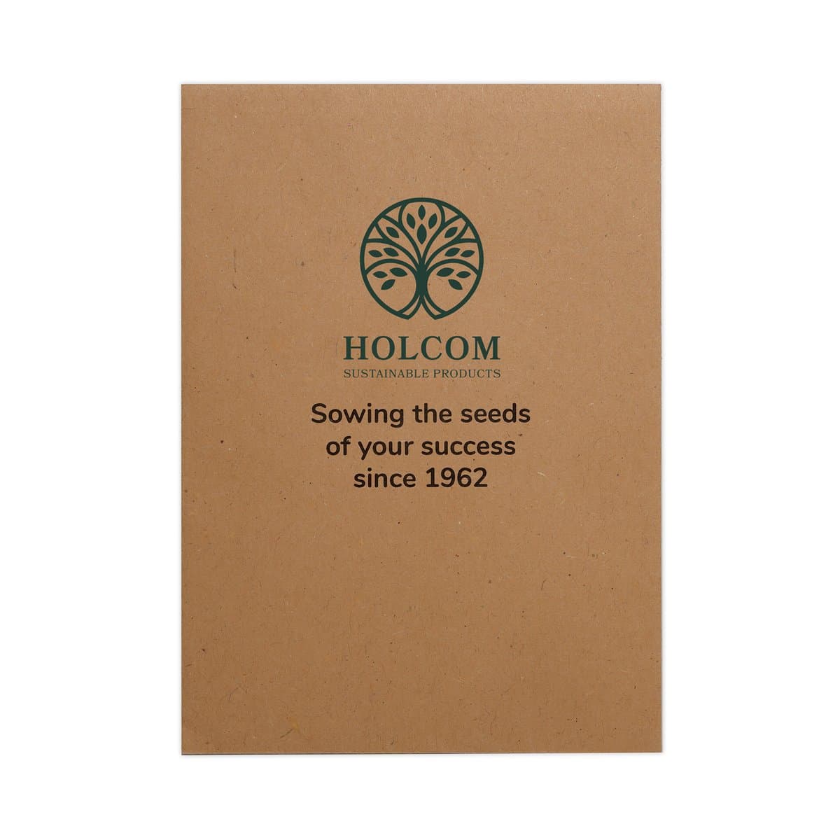 Natural Kraft Paper Seed Envelope 3