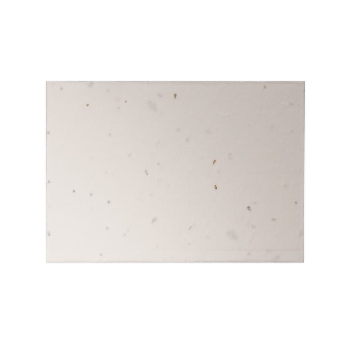 A7 Seed Paper Postcard 3