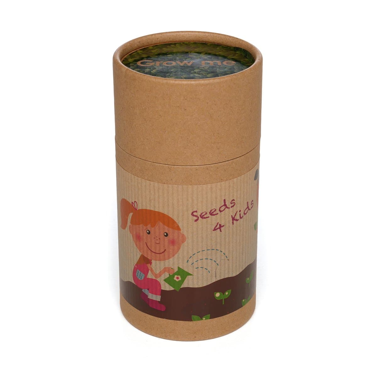 Natural Cylinder Drum Seed Kit 2