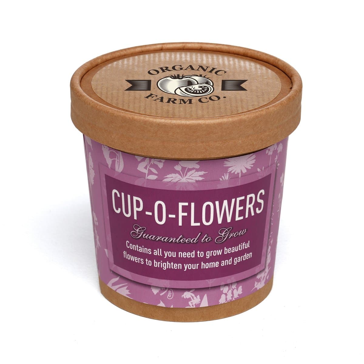 Natural Cup-O-Flowers Grow Kit 2